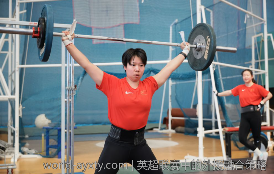 英超联赛中的外援融合策略