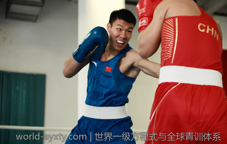 世界一级方程式与全球青训体系